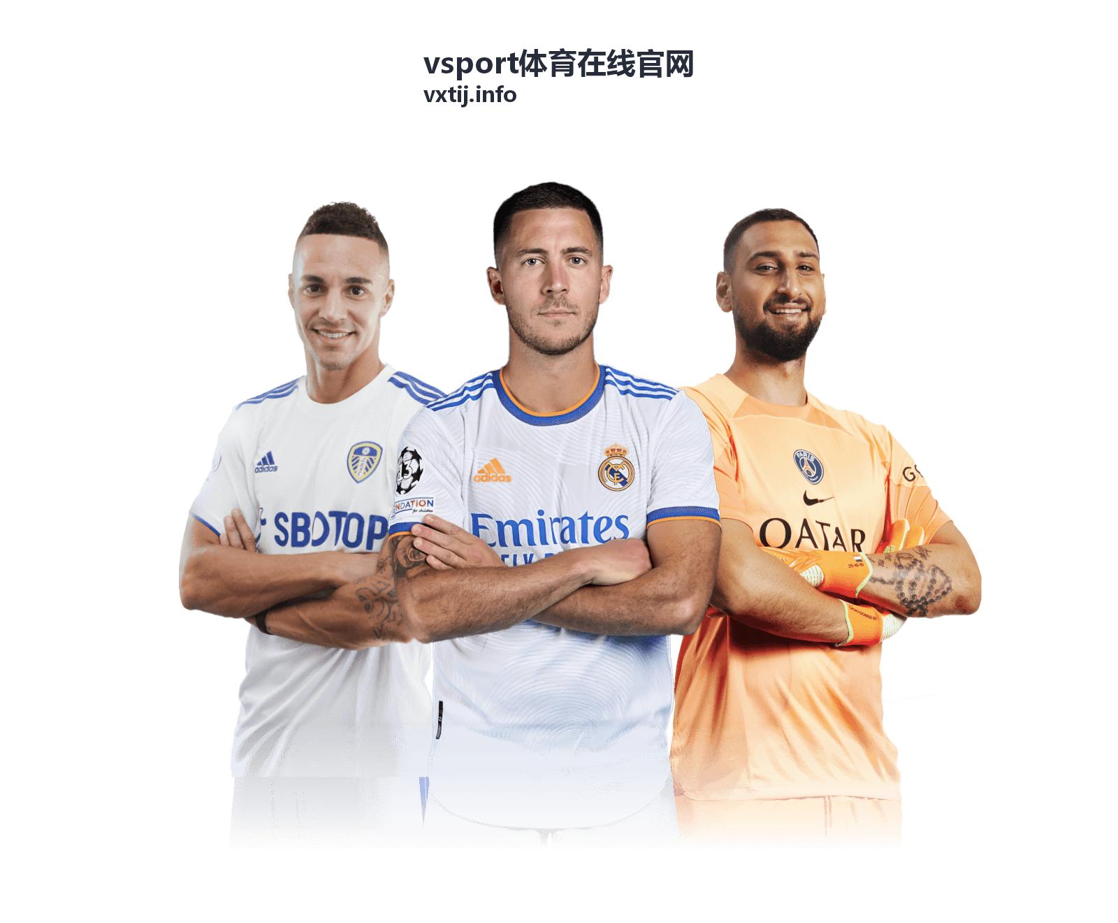 赛事回放精选-vsport体育在线官网