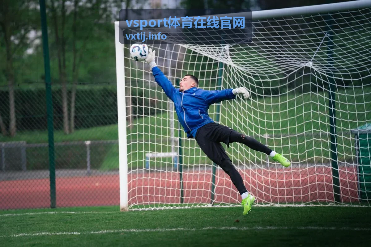 网球大满贯男单决赛精彩回放-vsport体育在线官网